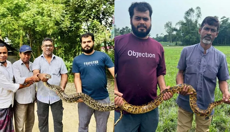 শ্রীমঙ্গলে লোকালয় থেকে দুটি অজগর উদ্ধার