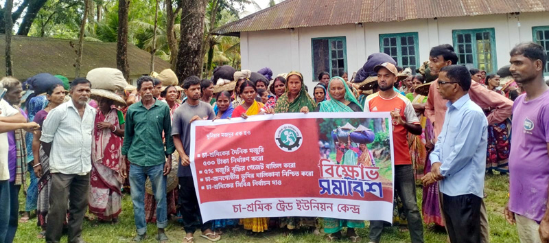 মজুরি বৃদ্ধির দাবিতে চা-শ্রমিকের ১ ঘন্টা কর্মবিরতি