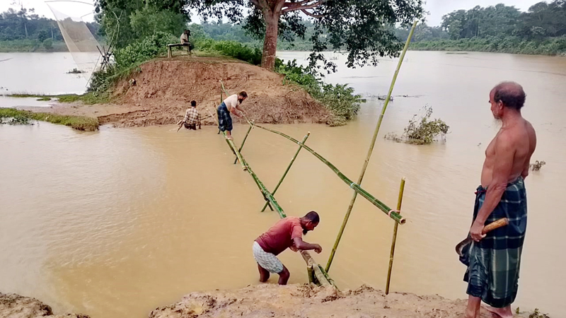 সাড়ে তিন বছর ধরে বিএসএফের বাঁধায় কাজ বন্ধ, বন্যা আতঙ্কে মনু পাড়ের ২ লাখ মানুষ