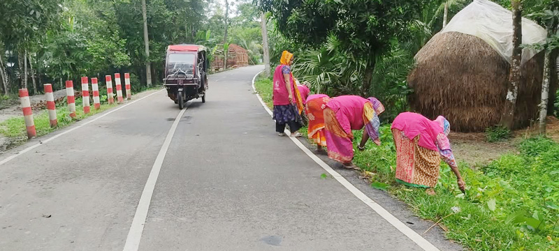 বেতাগীতে এলজিইডির উদ্যোগে সড়কের সৌন্দর্য বৃদ্ধি ও ঝোপ-জঙ্গল আগাছা পরিষ্কার 