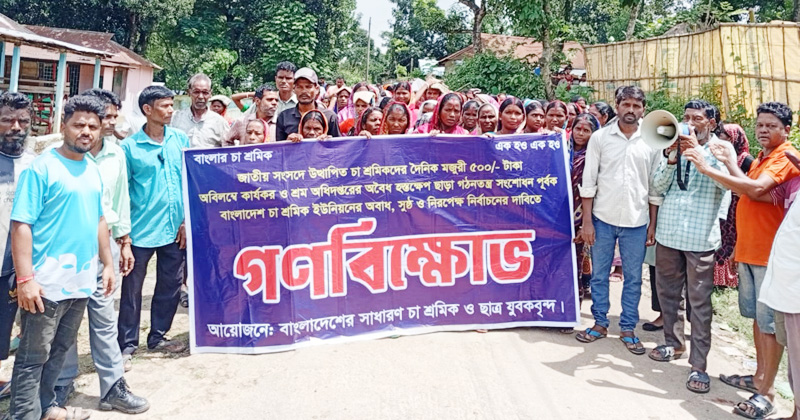 ৫০০ টাকা মজুরিসহ কুলাউড়ায় বিভিন্ন দাবি নিয়ে চা-শ্রমিকদের গণবিক্ষোভ