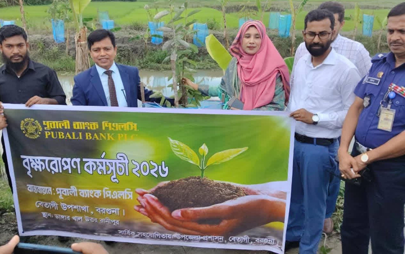 পূবালী ব্যাংক পিএলসি সৌজন্যে বেতাগী উপজেলায় বৃক্ষরোপণ কর্মসূচি 