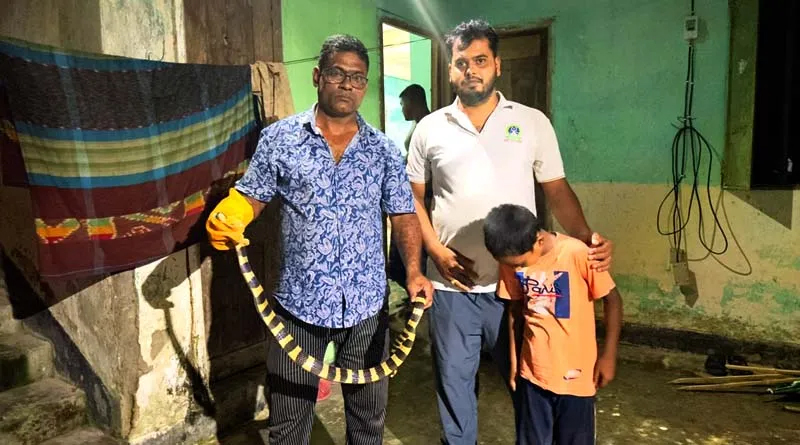 শ্রীমঙ্গলে সিসিটিভি ক্যামেরায় ধরা পরে বিষাক্ত শঙ্খিনী সাপ