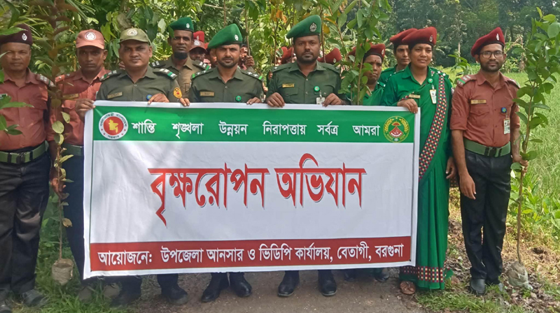 বেতাগীতে আনসার ও ভিডিপির বৃক্ষরোপণ অভিযান